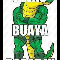 jenis-jenis-buaya-yang-ada-di-indonesia