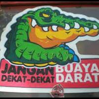 jenis-jenis-buaya-yang-ada-di-indonesia