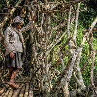 indonesias-ancient-beliefs-win-in-court-but-devotees-still-feel-ostracized