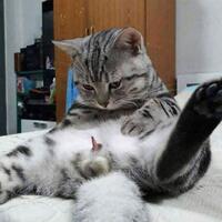 menikah-muda-jangan-dulu