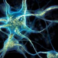 peneliti-ungkap-hubungan-antara-autisme-dan-epilepsi