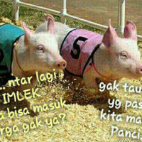 terkuak-fakta-isu-indomie-goreng-mengandung-babi