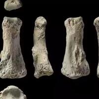 fosil-berusia-90000-tahun-ini-buktikan-adanya-migrasi-sejak-jaman-purba