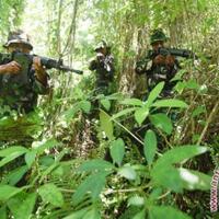 tni-berhasil-menguasai-dua-kampung-di-tembagapura-dari-kksb