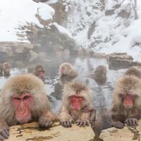 japan-a-to-z-all-about-travelling-in-japan---part-1