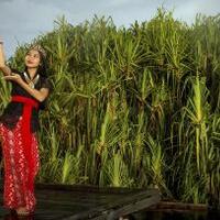 kaharingan-manusia-suci-dari-alam-sangiang