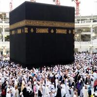 sudah-130-ribu-lebih-calon-jemaah-haji-reguler-telah-melunasi-bpih