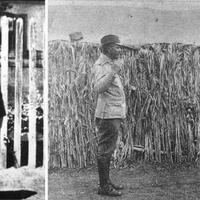 bocah-serbia-8-tahun-prajurit-termuda-di-perang-dunia-i