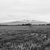 post-image