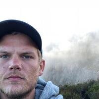 semasa-hidupnya-dj-avicii-pernah-menuliskan-fakta-kematian-akibat-kebiasaan-selfie