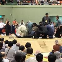 benarkah-wanita-dilarang-masuk-ring-sumo-di-jepang