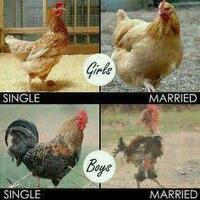 ditonton-anak-anak-dansa-romantis-dan-ciuman-syahnaz---jeje-di-resepsi-panen-kritika