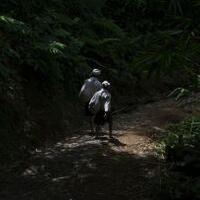 selam-sunda-wiwitan-penerus-nabi-adam-di-banten-selatan