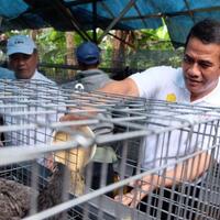 kementan-beri-bantuan-bibit-ayam-dan-kambing-ke-petani-untuk-entaskan-kemiskinan