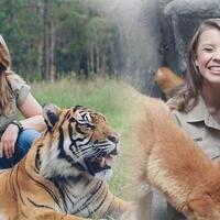 bindi-sue-irwin-si-cantik-mempesona-pencinta-binatang-buas