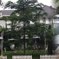 dijaga-20-orang-asisten-rumah-tangga-rumah-raffi-ahmad-sangat-mewah