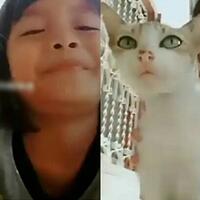 kelakuan-bocah-main-tik-tok-bersama-kucing-endingnya-bikin-ngakak