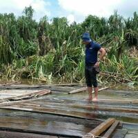 1848-batang-kayu-ilegal-logging-terapung-di-sungai-musi-muba