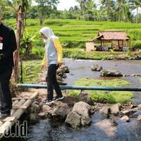 wow-warga-gotong-royong-sulap-semak-belukar-jadi-wisata-taman-selada-instagramable