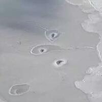 tiga-lubang-misterius-di-samudra-arktika