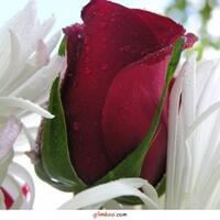 sudah-dilakukan-turun-temurun-praktek-sunat-perempuan-masih-menjadi-kontroversi