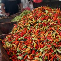 satgas-pangan-jamin-stok-sembako-aman-sampai-akhir-tahun