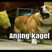 foto-editan-kocak-yang-bikin-jones-kesel