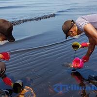 imapa-universitas-mulawarman-gelar-seminar-tumpahan-minyak-di-teluk-balikpapan