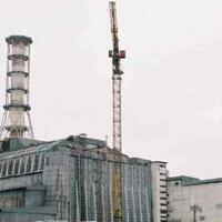 penampakan-satwa-chernobyl-pasca-ledakan-reaktor-nuklir-32-tahun-lalu