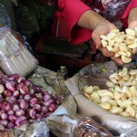 importir-bawang-putih-keluhkan-kebijakan-wajib-tanam-5-persen-ini-alasannya