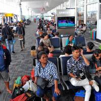 kppu-ap-ii-tak-boleh-memonopoli-bisnis-kargo-dan-pos-di-bandara-kualanamu