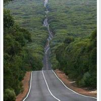 hoaks-foto-di-australia-kok-dipakai-untuk-salam2periode