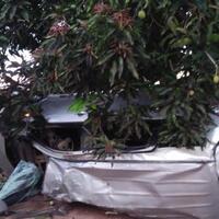 kecelakaan-di-desa-penyak-satu-polisi-tewas-dan-dua-rekannya-luka-berat-dan-ringan