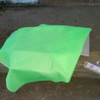 warga-desa-arus-digegerkan-seekor-anjing-bawa-mayat-bayi-tanpa-tangan-dan-kaki