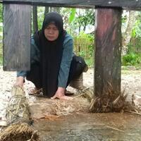 kisah-acil-perempuan-paruh-baya-yang-dongkrak-perekonomian-di-kampung-purun