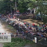 warga-ramai-ramai-panen-ikan-mabuk-di-sungai-brantas