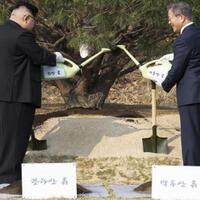 empat-hal-menarik-bagi-warga-jepang-terkait-pertemuan-korea-selatan-dan-korea-utara