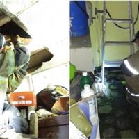 abdul-rahim-kaget-ular-kobra-jawa-masuk-rumahnya-tim-dinas-kebakaran-pun-beraksi