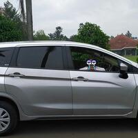apesnya-pemilik-mitsubishi-xpander-ini-cat-bodi-mobilnya-belang