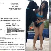 bangkitkan-gairah-seksual-seekor-anjing-model-amerika-ini-digugat