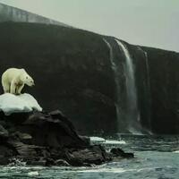 rencana-berani-para-ilmuwan-untuk-menyelamatkan-beruang-kutub