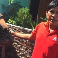 rumah-warga-semarang-ini-hanya-setinggi-sekitar-25-meter-masuknya-harus-jongkok