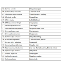 ltgtltgt-new-home-all-about-res-red-ear-slider---kura-brazil-ltgtltgt---part-1