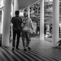 kavling-fujifilm-reborn---part-1