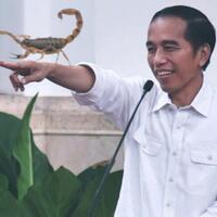 kalajengking-jurus-proteksi-jokowi