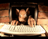 studi-di-twitter-indonesia-china-yang-disalahkan-atas-wabah-covid-19