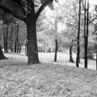 warung-ngumpul-penggemar-kamera-analog---part-5