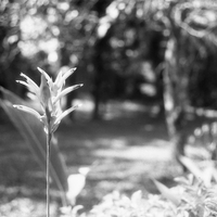 warung-ngumpul-penggemar-kamera-analog---part-5