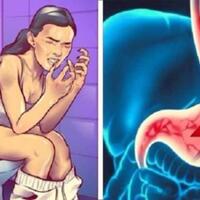 suka-daging-gak-suka-sayur-baca-ini-gan