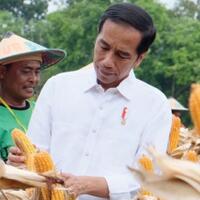 presiden-jokowi-jangan-sampai-dana-desa-rp187-triliun-kembali-ke-jakarta